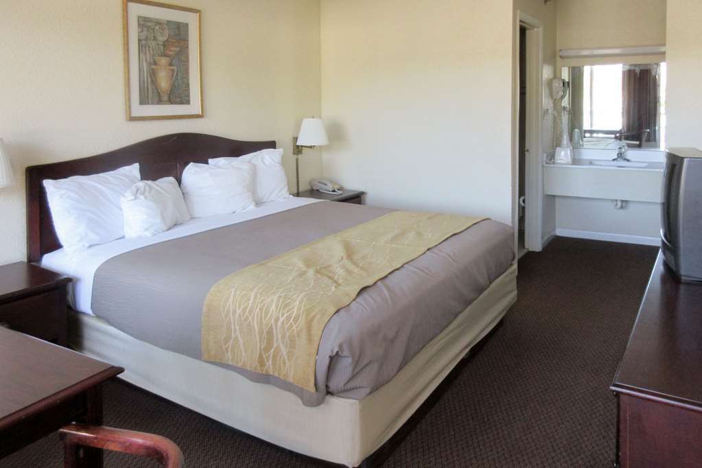 Quality Inn & Suites Pawleys Island Habitación foto